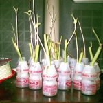 Praktek Menanam Kangkung di PAUD Assova Muslimat NU